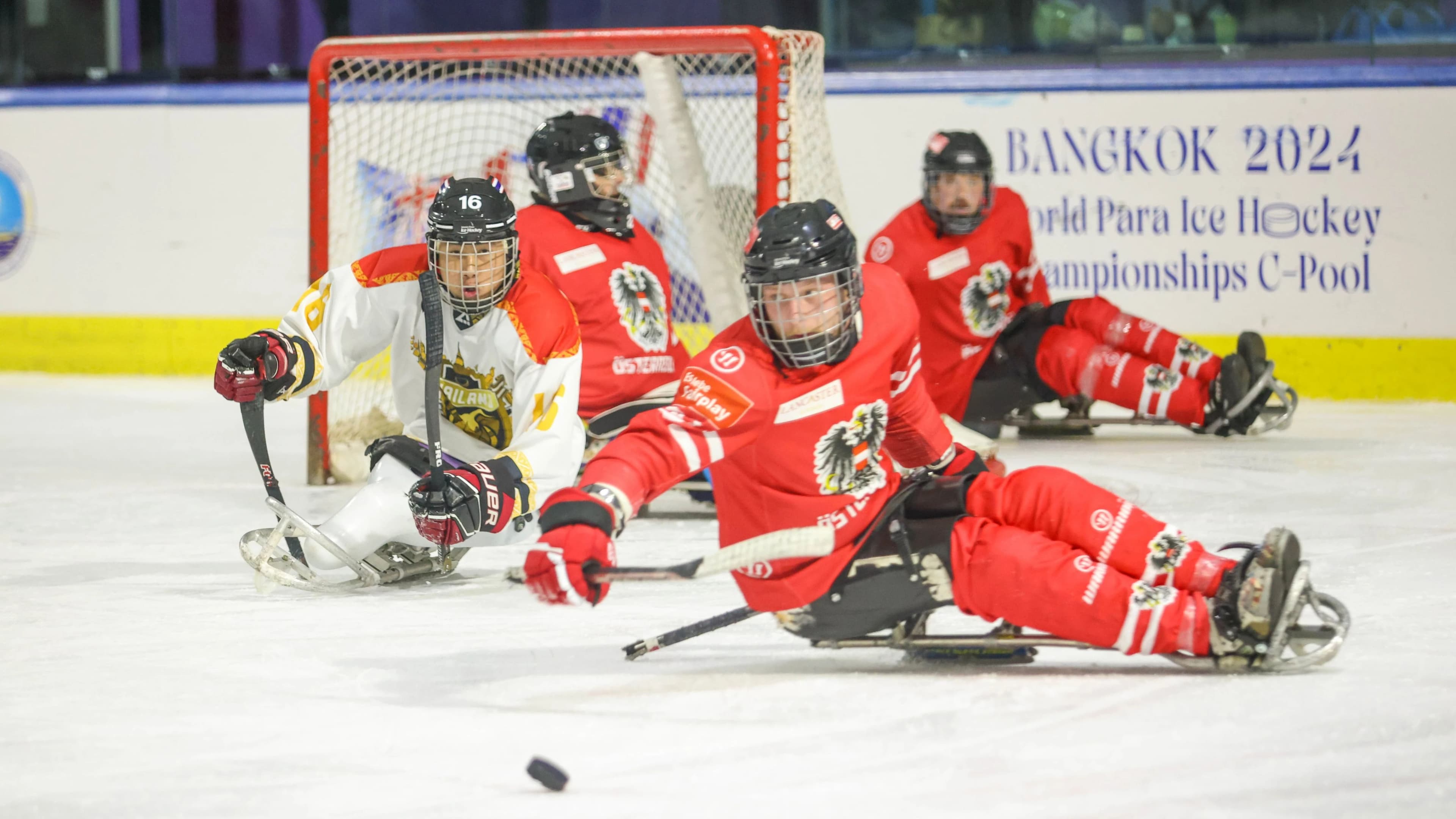 ÖEHV erhält Förderung für Projekt "Para-Eishockey – Relaunch durch Inklusion"